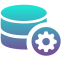 page-icon